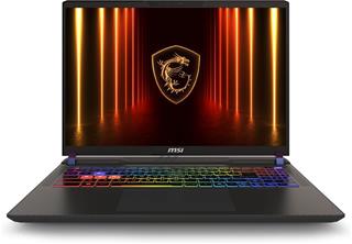 Laptop MSI Vector A16 HX A8WIG / Ryzen™ 9  / Ryzen™ 9 / 32 GB / 16,0" / I0015MM015