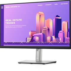 Monitor Dell P2422H - FHD / IPS / HDMI / VGA / 24" / DELL-P2422H-02