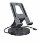 Docking station IcyBox IB-TH100-DK Black