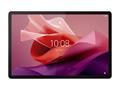 Laptop Lenovo Tab P12 / 8 GB / 13"