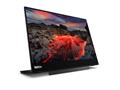 Monitor Lenovo M14tGen2 (D24140QX0) -Type C -14"