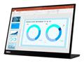 Monitor Lenovo ThinkVision M14d/WQHD/2 x USB-C 14''