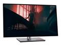 Monitor Lenovo ThinkVision P27q-30 - 27" QHD - HDMI, DP