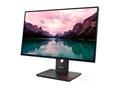 Monitor Lenovo ThinkVision T24-40 24" FHD/IPS/DP
